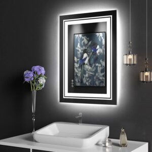 Dual LED Vanity Bathroom Mirror